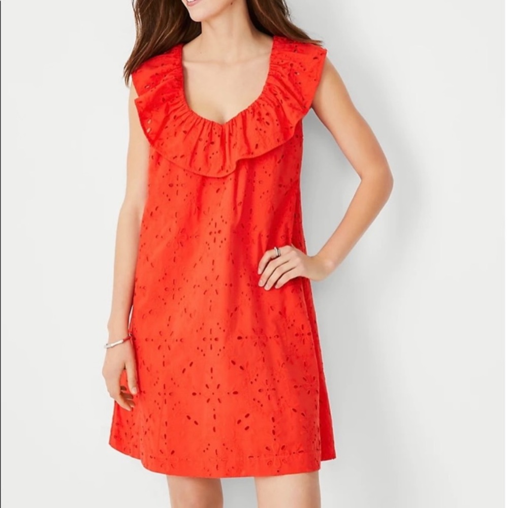 Ann Taylor eyelet dress
